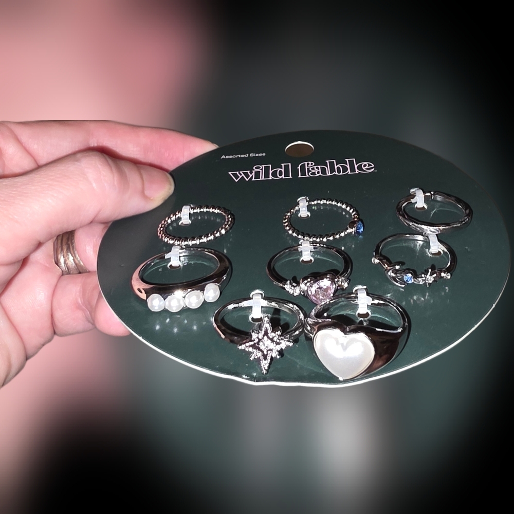 Wild Fable Silvertone Ring Set